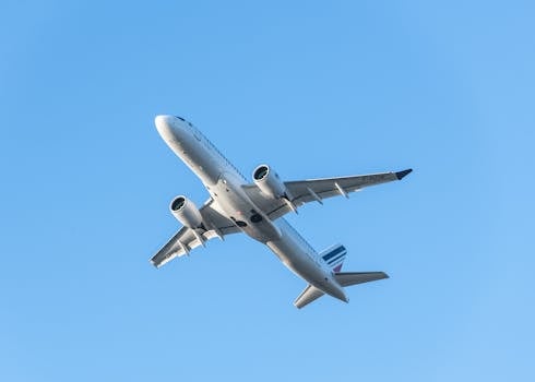 Druhý let z Izraele dopravil 80 Čechů zpět do Prahy