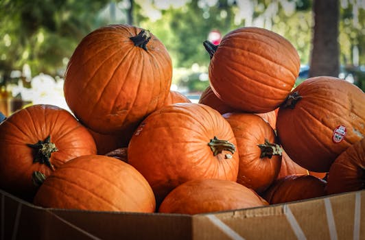 Česko slaví 28. říjen: Prezident Pavel jmenoval generály