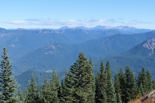 Ústavní soud schválil vznik CHKO Soutok, zajišťuje ochranu přírody
