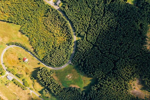 Optimismus v ČR po 2020: Jaké jsou šance na jeho návrat?