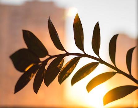 Trumpův mírový plán Pojar: Co to znamená pro Ukrajinu a Evropu?