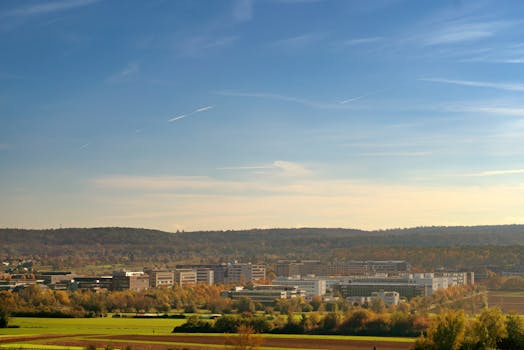 Německé firmy a AfD: Jak se liší přístupy MSP a korporací?