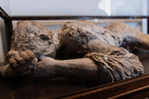 Evropa: Muzeum minulosti nebo živý kontinent budoucnosti?