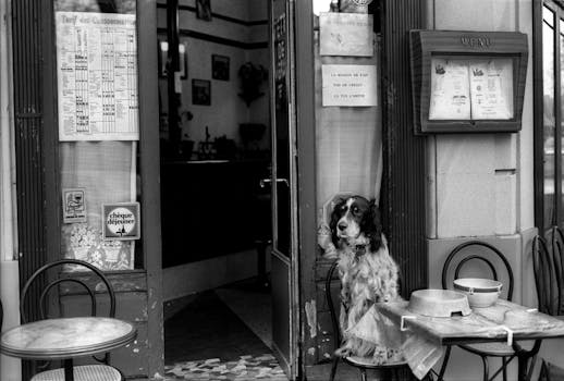 Brigitte Bardot: Od Filmové Ikony k Aktivistce za Práva Zvířat