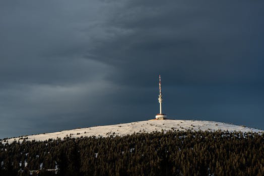 Dramatický pokles úmrtí na žloutenku A v ČR: z 36 na 2