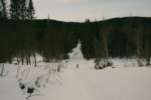 Obora Hvězda v Praze: Ráj pro běžkaře po prvním sněhu!