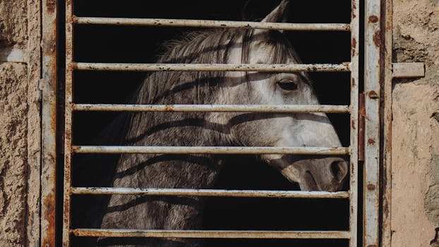 Trump zavádí 25% clo na země obchodující s Íránem