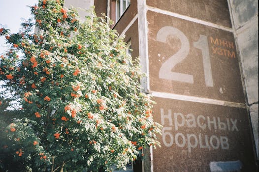 Rekordní počet civilních obětí na Ukrajině v roce 2023, varuje OSN