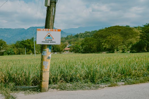 Trump varuje: Katastrofa, pokud Málikí znovu řídí Irák!