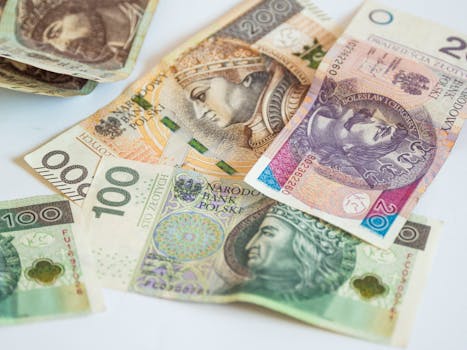 ČNB chrání ekonomiku: Jak čelíme ropným šokům a inflaci