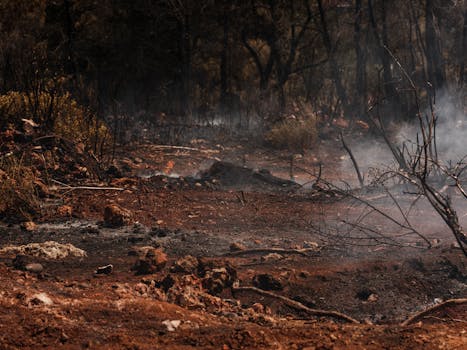 Válka v Íránu způsobila ekologickou katastrofu viditelnou z vesmíru